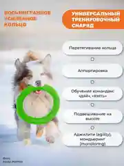Зеленый игрушка для собак,пуллер кольцо прочный 30.5см