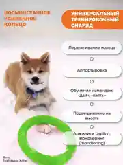 Зеленый игрушка для собак, пуллер кольцо прочный 20см