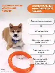 Оранжевый игрушка для собак, кольцо-пуллер прочный 20см
