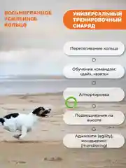 Зеленый игрушка для собак, пуллер-кольцо прочный 12.5см-2шт.