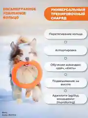 Оранжевый игрушка для собак, пуллер-кольцо прочный, 26.5см 2шт