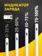Стилус для iPad, для рисования, Pencil for IPad, 2 в 1