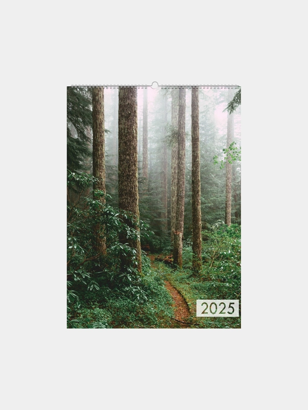 Настенный перекидной календарь 2025 год
