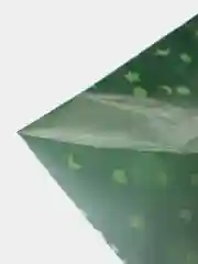 Зеленый пакет подарочный новогодний пакетик