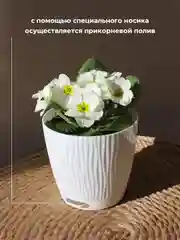 Горшок для цветов с автополивом, кашпо для растений, вазон с поддном
