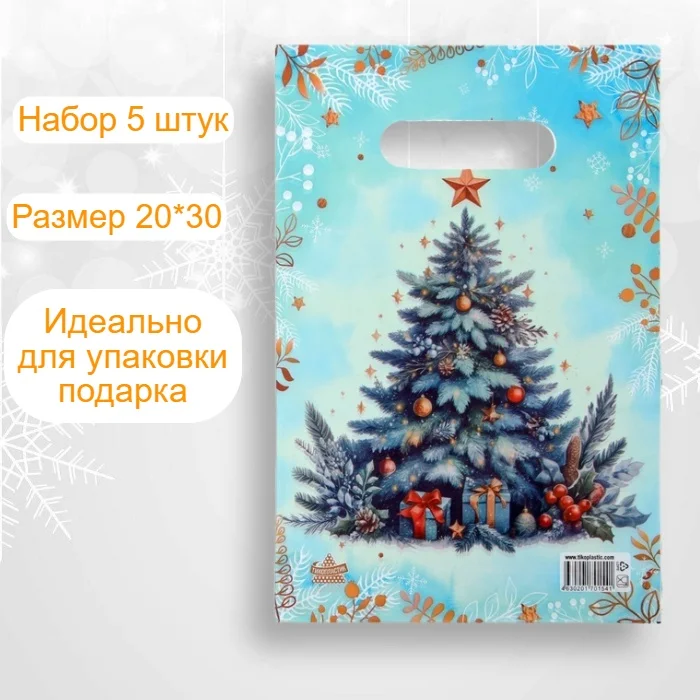 Пакет подарочный новогодний, 20*30, набор 5 штук . Упаковка для подарка . Подарочный пакет