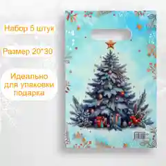 Пакет подарочный новогодний, 20*30, набор 5 штук . Упаковка для подарка . Подарочный пакет