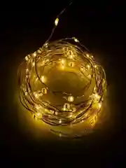 Гирлянда Нить, bluetooth RGB, 5 м, 220 V