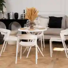 Белый комплект стульев 2 шт, стулья   для кухни, столовой и улицы