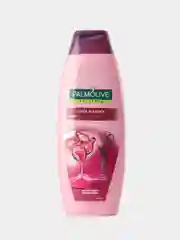 Шампунь и кондиционер для волос Palmolive Натурэль Сила и Блеск c керамидами 2 в 1 380 мл