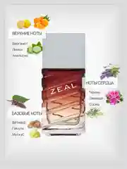 Парфюмерная вода мужская AJMAL ZEAL, 100 мл