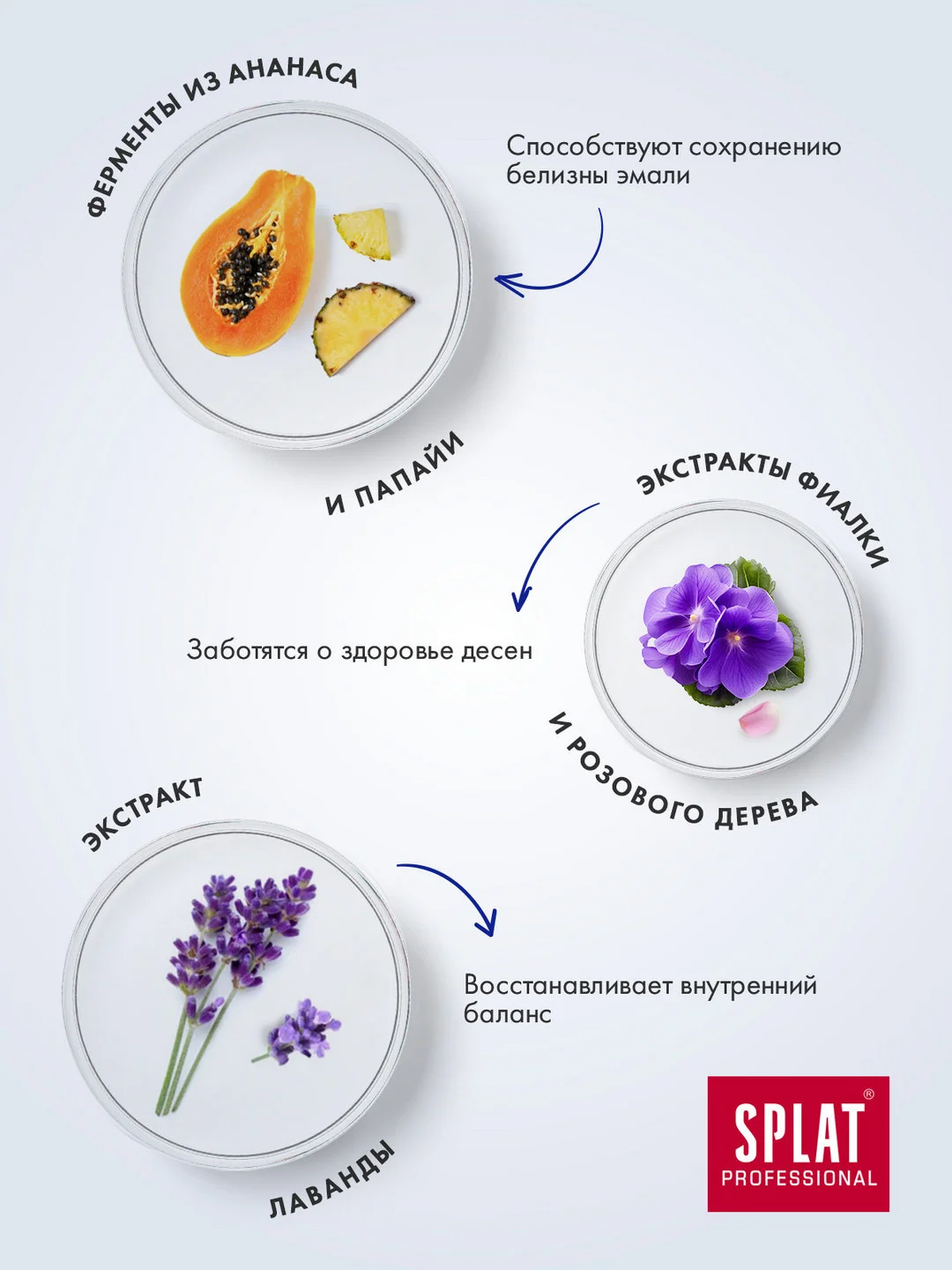 Зубная паста Professional SPLAT Восстановление Плюс, 100 мл