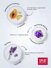 Зубная паста Professional SPLAT Восстановление Плюс, 100 мл