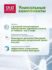 Зубная паста Professional SPLAT, Длительная свежесть, 100 мл