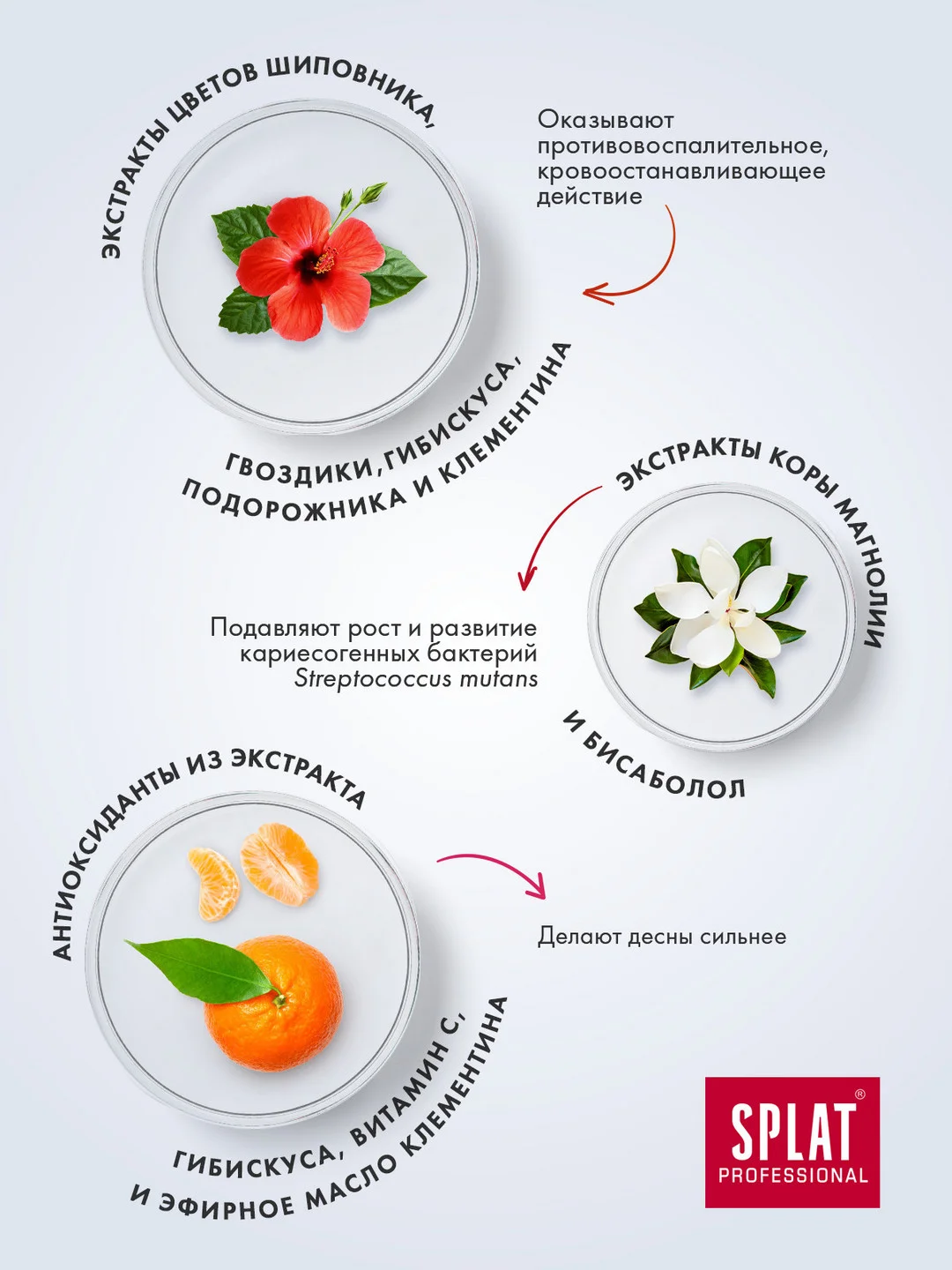Зубная паста Professional SPLAT "Здоровые десны", 100 мл