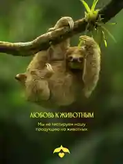 Гель для душа SOLZAO Amazonia, с экстрактом лайма, без сульфатов и парабенов, 400 мл