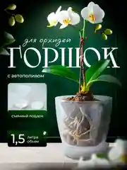 Горшок для орхидеи и цветов, кашпо прозрачное для растений 1,5 л