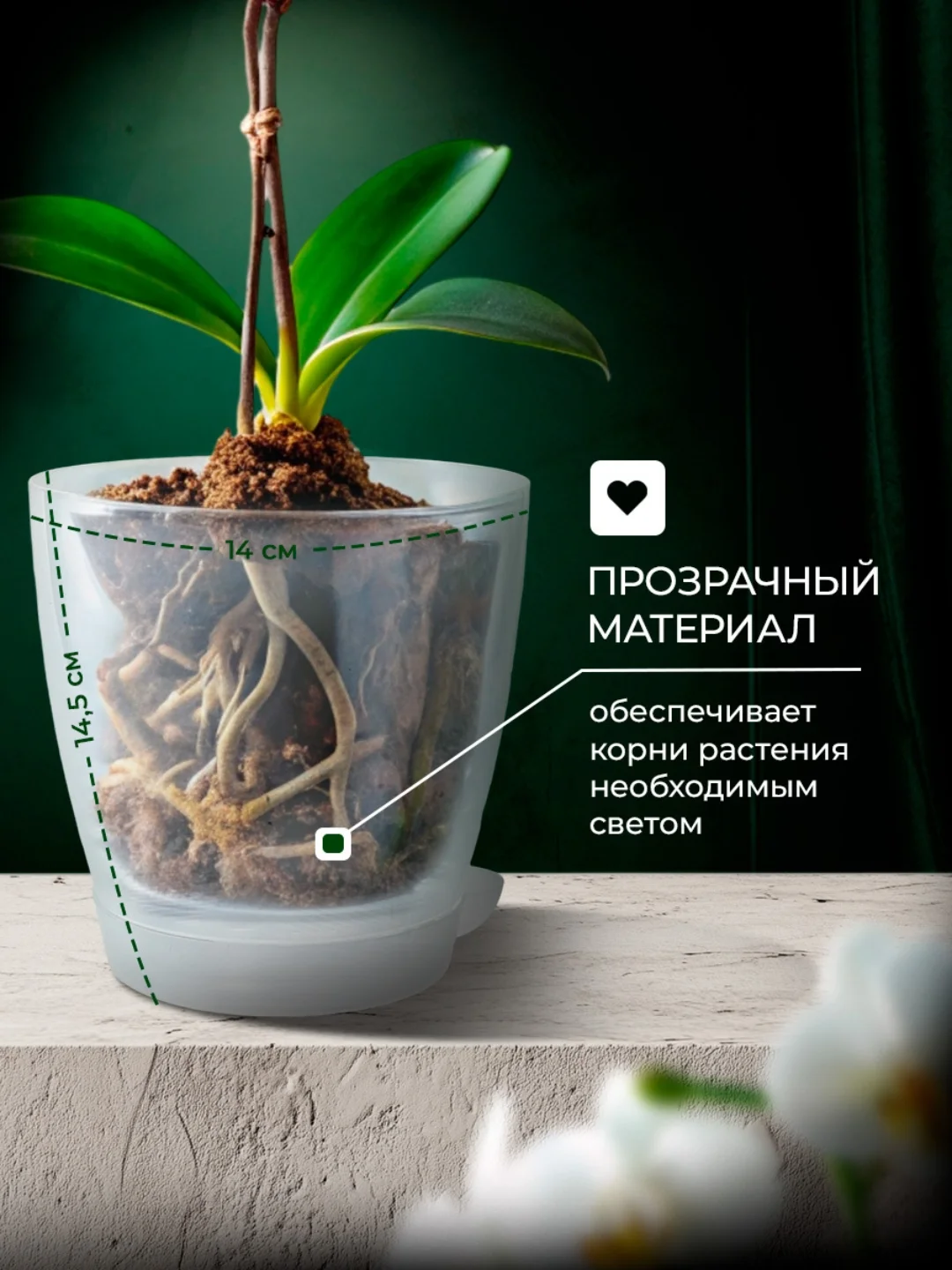 Горшок для орхидеи и цветов, кашпо прозрачное для растений 1,5 л