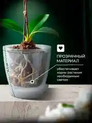 Горшок для орхидеи и цветов, кашпо прозрачное для растений 1,5 л