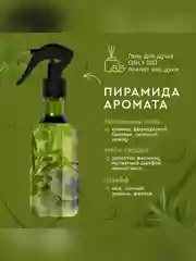 Аромаосвежитель воздуха Only Bio Art & Natural "Зеленый луг после дождя", 320 мл