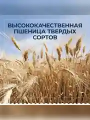 Макаронные изделия Barilla Bucatini n.9, из твёрдых сортов пшеницы, 400 г