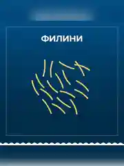 Макаронные изделия Barilla Filini n.30, из твёрдых сортов пшеницы, 450 г