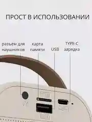 Бежевый беспроводная портативная караоке колонка с микрофонами