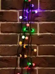 Мультишарики Neon-Night, 10 м, 80 LED, темно-зеленый ПВХ, IP65, динамика, 17,5 мм