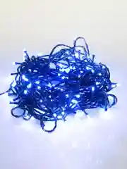 Гирлянда Твинкл Neon-Night Темно-зеленый, 80 LED, синие, не соединяется, 10 м