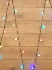 Гирлянда Шарики Neon-Night, диаметр 18 мм, темно-зеленый ПВХ, 30 LED, RGB, IP20, 5 м