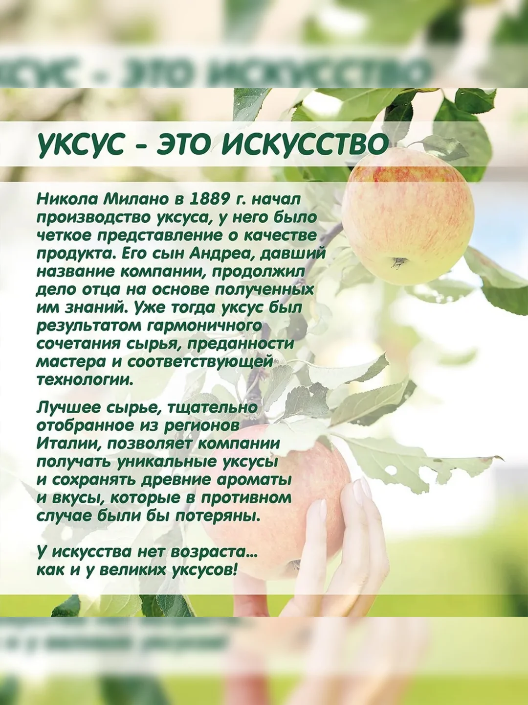 Уксус яблочный непастеризованный Sabroza, органический, нефильтрованный c мякотью, 0,5 л