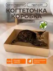 Бежевый когтеточка картонная для кошек, котят, когтедрал