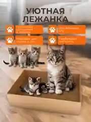 Бежевый когтеточка картонная для кошек, котят, когтедрал