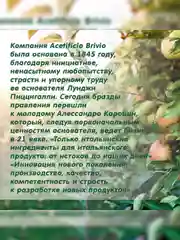 Яблочный уксус натуральный Brivio, фильтрованный, 1 л
