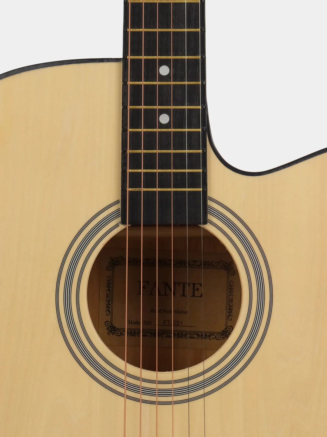 Акустическая гитара Fante FT-221-N