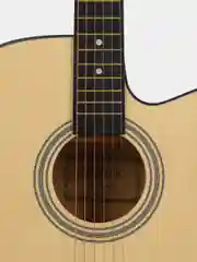 Акустическая гитара Fante FT-221-N