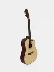 Акустическая гитара Fante FT-221-N