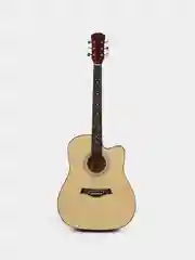Акустическая гитара Fante FT-221-N