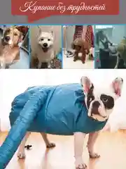 Сушилка животных под фен после купания для кошек и собак для всех пород