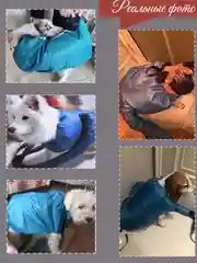 Сушилка животных под фен после купания для кошек и собак для всех пород