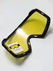 Очки горнолыжные BIG BRO FJ072 (сменная линза+чехол)