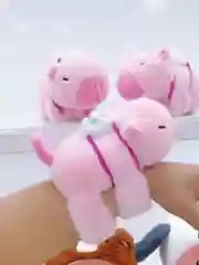 Игрушка плюшевый браслет - капибара,панда