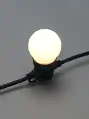 Уличная Лофт гирлянда Neon-Night, шнур 3 м, IP4410 м, 20 матовых ламп х 5 LED, 10 м