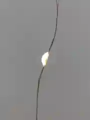Гирлянда Светодиодный дождь, 200 LED, мультиколор, IP20, USB, пульт управления, 3х2 м