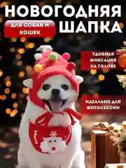 Красный новогодние шапочки для собак и кошек