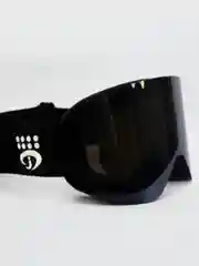 Очки горнолыжные BIG BRO FJ056 (сменная линза+чехол)