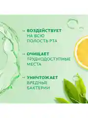 Ополаскиватель для полости рта Colgate Plax Свежесть чая, антибактериальный, 500 мл, 3 шт