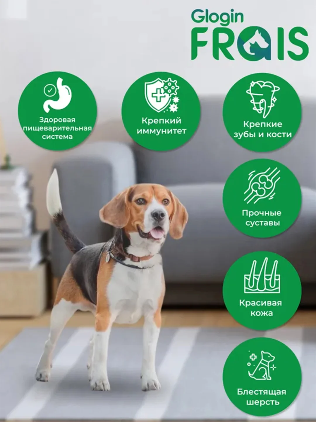 Влажный корм для собак Frais Classique Dog, кусочки мяса с курицей, в желе, 850 г