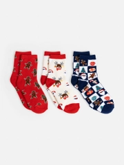 Носки детские Acoola Marsh, 3 пары