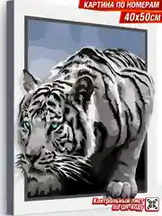 Белый тигр Картина по номерам на холсте с подрамником 40х50 "Hobby Paint"